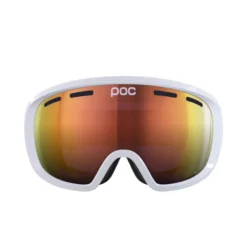 POC Fovea Goggle